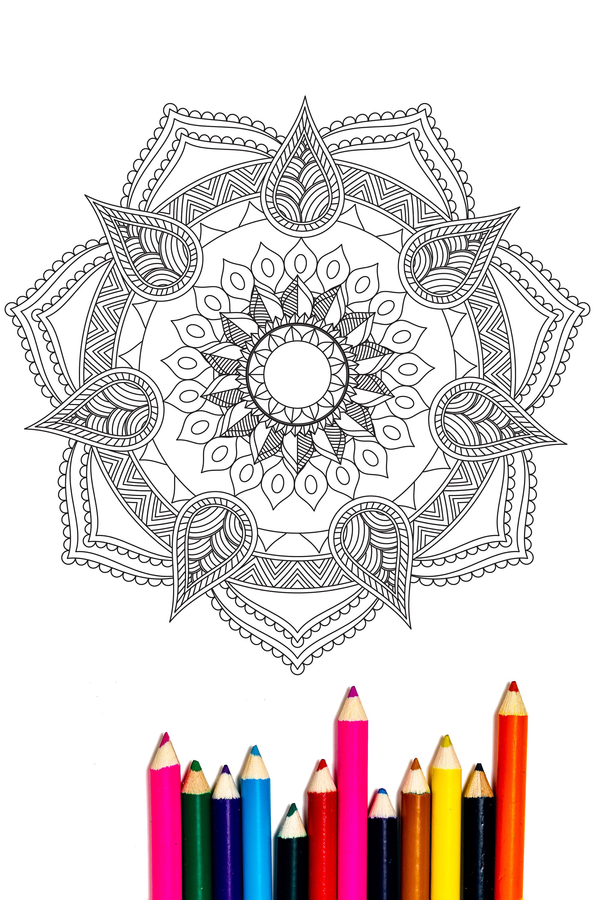 Magic Mandala - Stress Relief Coloring Book for Adults: Color by Numbers -  GOOD 9781521890219