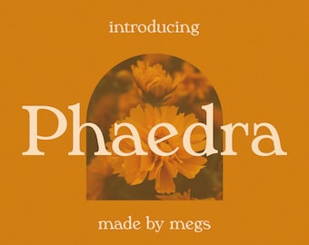 Phaedra // A Retro Serif Typeface // Retro Font, Vintage, 1960s, 1970s, Stylish, Branding Font, Logo Font, Poster Font, Fashion Font