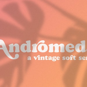 Andromeda // A Vintage Soft Serif Font // Branding Font, Logo Font, Vintage, Chic, Modern, Retro image 1