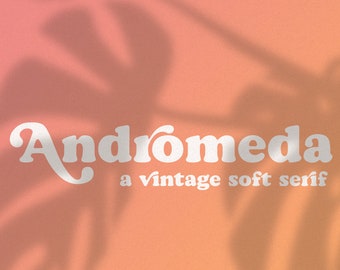 Andromeda // A Vintage Soft Serif Font // Branding Font, Logo Font, Vintage, Chic, Modern, Retro