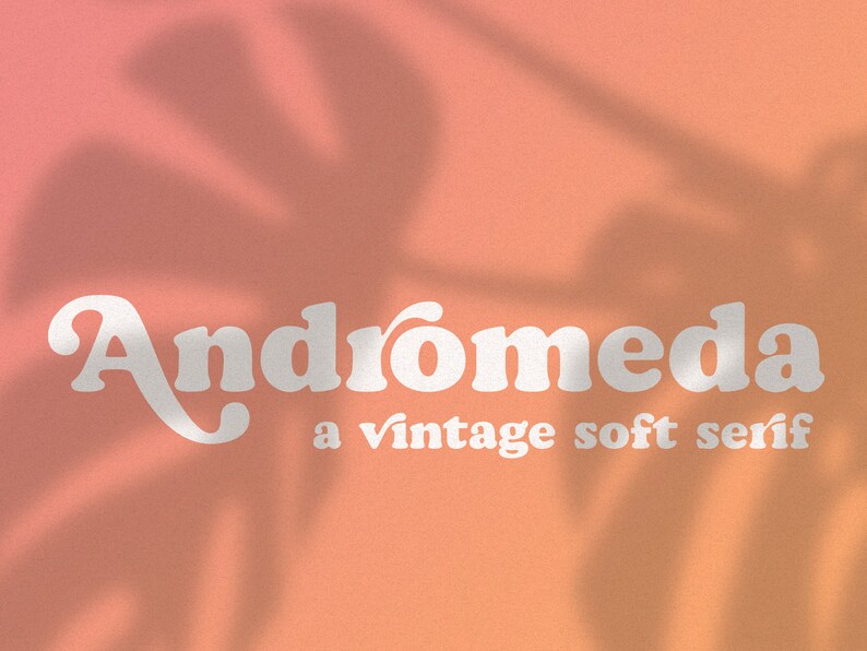 Andromeda // A Vintage Soft Serif Font // Branding Font, Logo Font, Vintage, Chic, Modern, Retro image 1