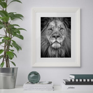 Majestic Male Lion Black and White Fine Art Wall Print - Wildlife, Nature, Animals, Africa, Photograph, Portrait, Wall Decor, Art