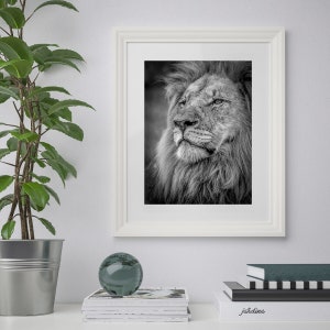 Majestic Male Lion Black and White Fine Art Wall Print - Wildlife, Nature, Animals, Africa, Photograph, Portrait, Wall Decor, Art