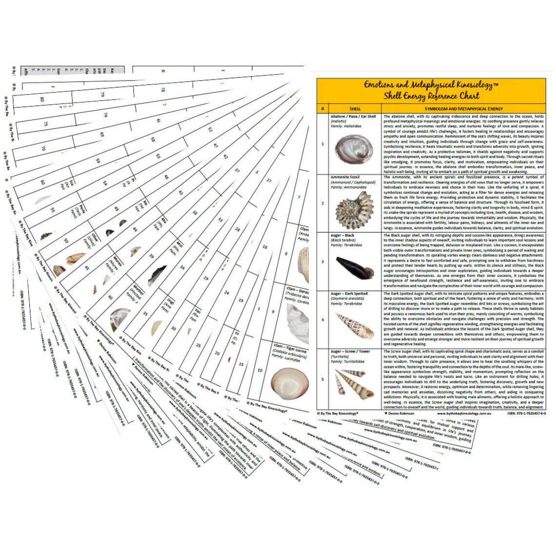 Shell Energy Reference Chart (PDF Digital Download) - Etsy