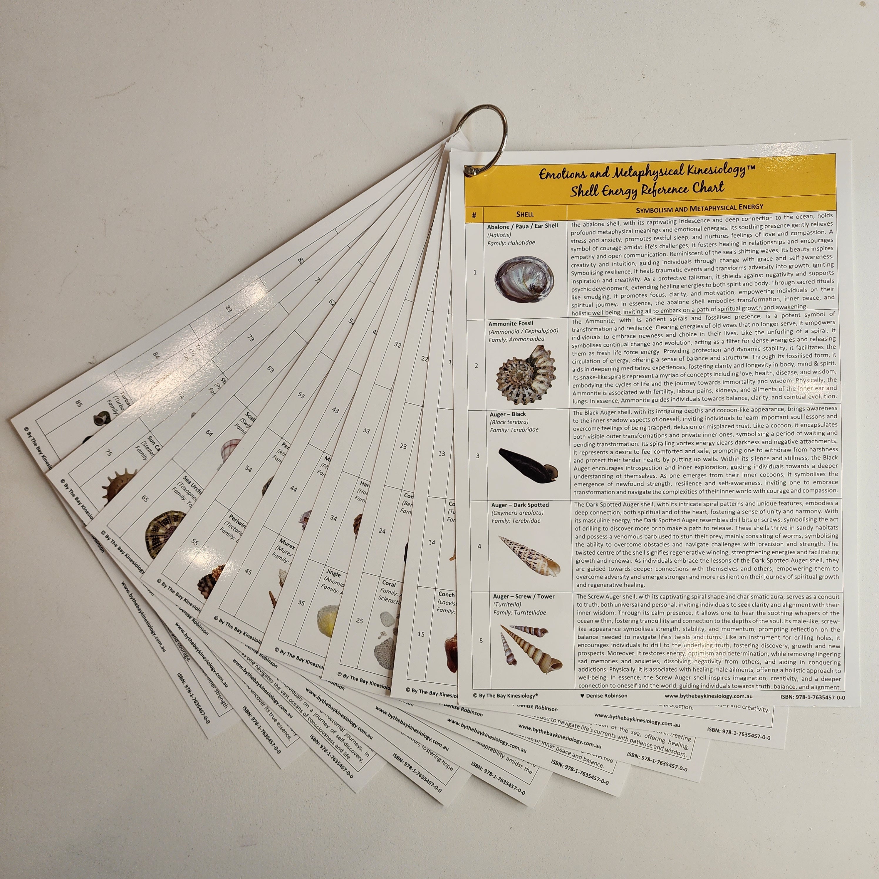Shell Energy Reference Chart (PDF Digital Download) - Etsy