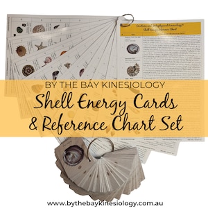 Shell Energy Cards & Reference Chart Set – Deck of 88 Cards and Reference Chart