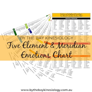 Grafiek met vijf elementen en meridiaan-emoties (digitale pdf-download)