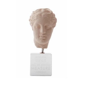 Head of Hygeia Medium Greek Statue, Hygeia Goddess of Good Health Cleanliness & Purity, Greek Mythology, Mykonos Gift