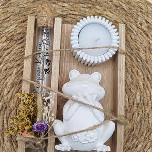 Frosch Kröte Geburtstagsgeschenk Teelicht Wunscherfüller Geschenk Geburtstag Geldgeschenk Ein paar Kröten für dich Mitbringsel Frösche