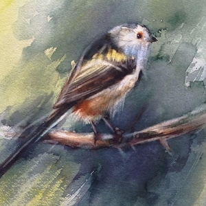 Pintura de acuarela original de pájaro, arte de pájaros, arte de pájaros lindos, arte de pájaros en acuarela, arte de carbonero, acuarela de primavera, decoración de arte de pared de pájaro
