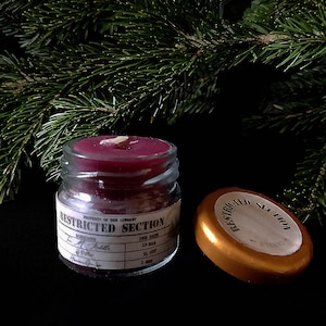 Restricted Section Library Candle - Velvet Candle in a Glass, Book Fantasy Fandom Wizard School DnD RPG Magic World, Geeky Gift