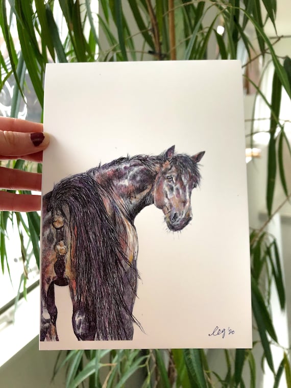 Companionshit Pooping Horse Print / Horse shit poster / Etsy España