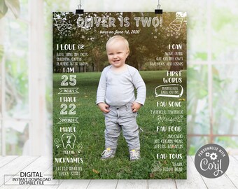 May include: A birthday poster for a two-year-old named Oliver, featuring the text "Oliver is Two!" and personal details like height (63.5 cm), weight (10 kg), and favorite things. The poster includes a photo of the child.