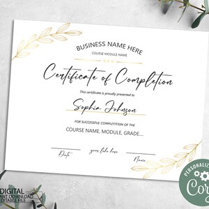 Editable Certificate Printable Certificate Template Digital Instant Download Lashes Course DIY Certificate of Completion Template