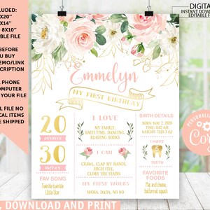 Editable Floral Blush Pink Birthday Poster Birthday Board Girl Poster Digital Party Milestone Sign Blush Roses Birthday Editable Sign