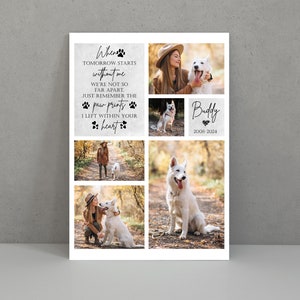 May include: A collage of photos of a white dog with a woman. The text reads "When tomorrow starts without me we're not so far apart. Just remember the paw prints I left within your heart." and "Buddy 2008-2024".