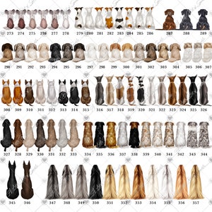 New Dogs, Dog Breeds, Do Not Purchase