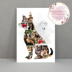 Chihuahua Photo Print, Dog Collage, Pet loss, Pet memorial, Photo Collage, bereavement gift, Pet keepsake, Dog owner gift - Digital version