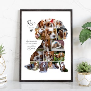 King Charles Cavalier Spaniel Photo Collage, Pet Memorial Gift, Pet Loss, Wall Art Collage Gift For Dog Lovers, Dog Loss, Memorial picture