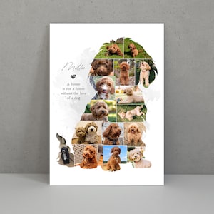 Op de afbeelding: Een collage van foto's van een bruine en witte hond, gerangschikt in de vorm van een hond. De tekst "Een huis is geen thuis zonder de liefde van een hond" staat onder de collage. De naam van de hond "Millie" staat boven de collage.