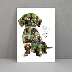 Dachshund Photo Print, Sausage dog Collage, Pet loss, Pet memorial, Photo Collage, Pet bereavement gift, Pet keepsake, Dog owner gift