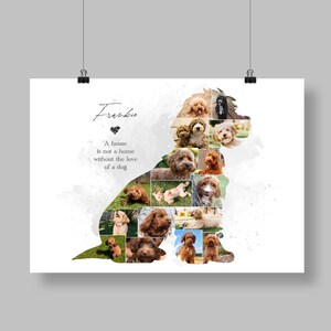 Op de afbeelding: Een collage van foto's van een bruine hond genaamd Frankie in een wit frame. De quote "Een huis is geen thuis zonder de liefde van een hond" staat onder de foto's.