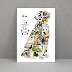Peut inclure: Un fond blanc avec un collage de photos d'un chien golden retriever. Les photos sont disposées en forme de chien. Le texte "Nala 2012-2024" est en haut de l'image. Le texte "When without me tomorrow starts we're not so far apart. Just remember the paw prints I left within your heart." est sous le collage.