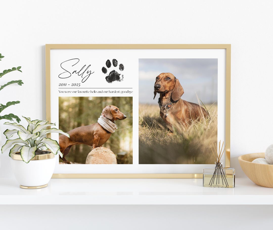 Personalized Pet Memorial Print: Custom Photo & Paw Print Keepsake - Etsy