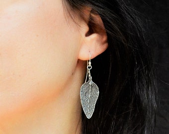 Real Sage Leaf Sterling Silver Earrings, Handcrafted Botanical Jewelry