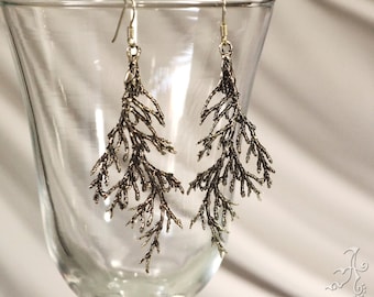 Real Sypress Leaf Silver Earrings for Elegant Women, Nature Inspired Ideal Present for a Stunning Appearance, Free Shipping