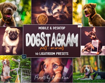 Presets de Lightroom para fotografía de perros, móvil y escritorio (10)