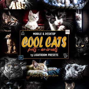 Könnte beinhalten: Eine Sammlung von 15 Lightroom-Presets zum Bearbeiten von Katzenfotos. Die Presets sind sowohl für die mobile als auch für die Desktop-Nutzung konzipiert. Die Presets heißen "Cool Cats Pets - Animals".