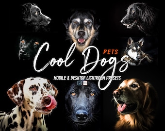 Dog Photo Presets, Mobile & Desktop Lightroom Presets