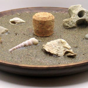 May include: A wooden bowl filled with sand, seashells, and small stones. A cork stopper and a small, weathered bone are also in the bowl. A Euro coin is in the foreground. The bowl is on a white surface.