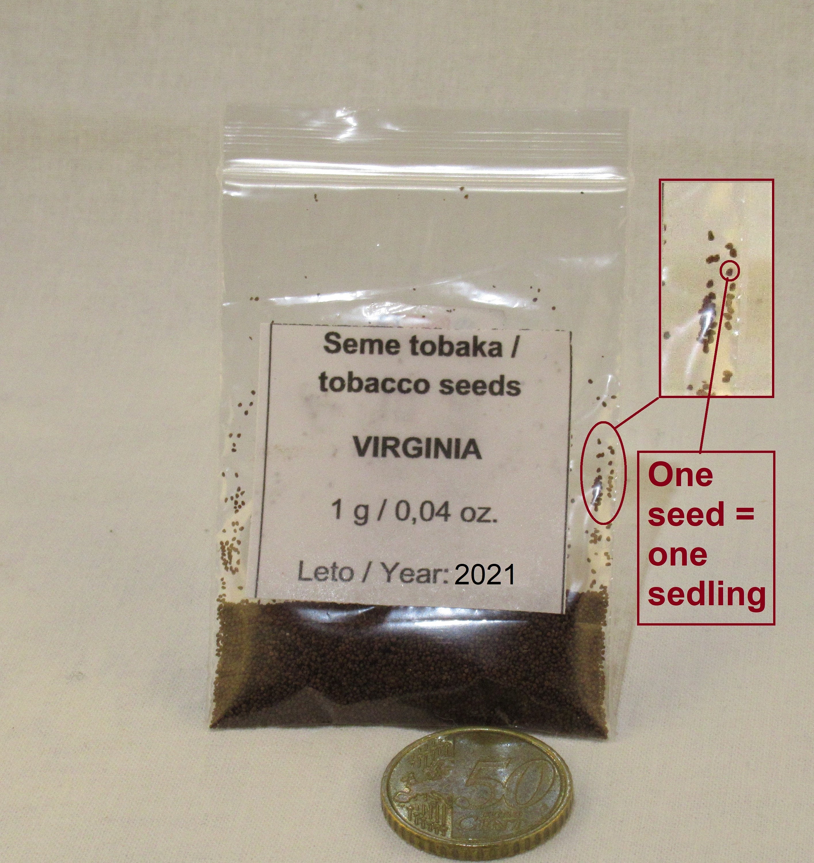 Virginia Gold Tobacco Seeds Etsy