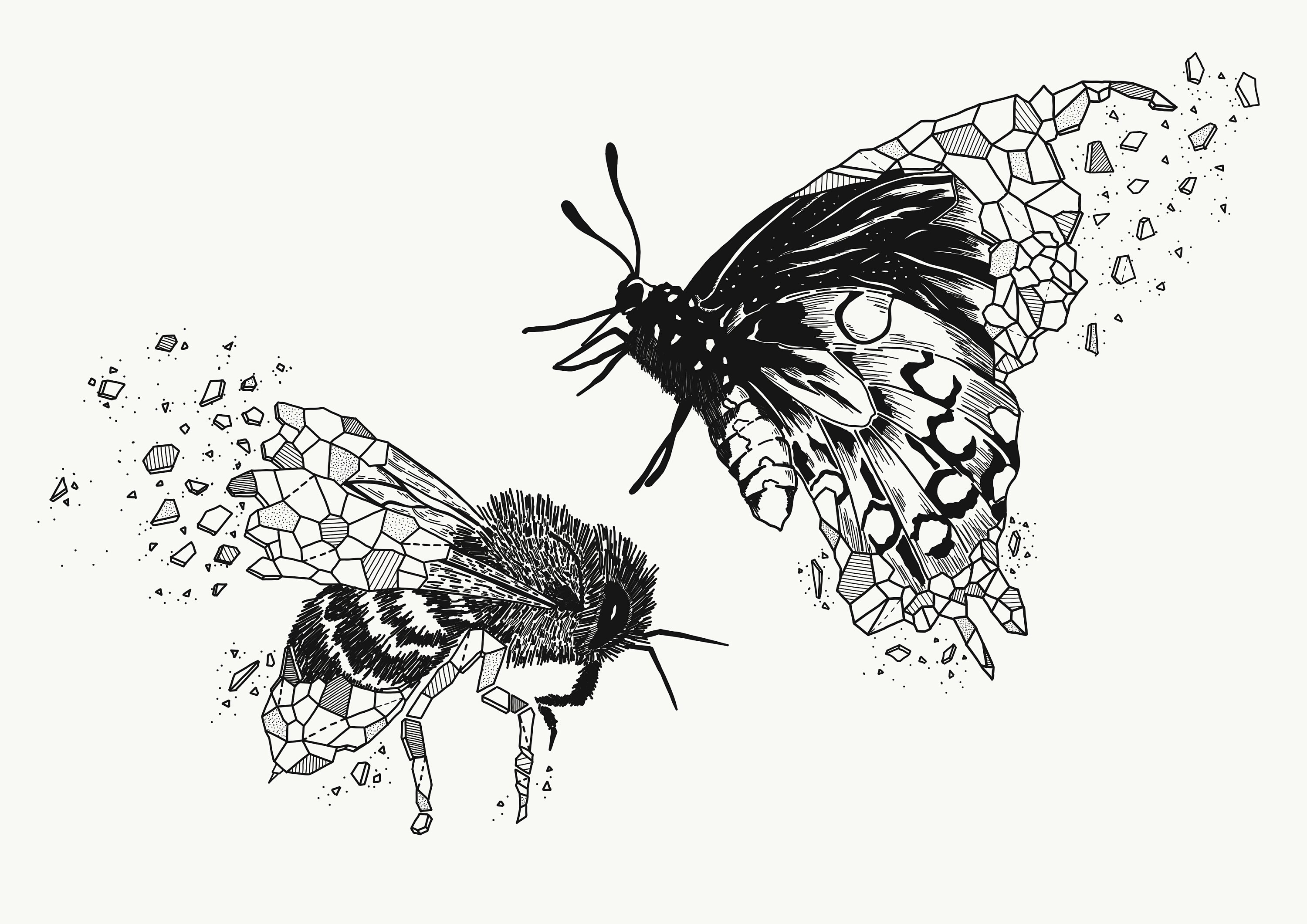 Fly Like A Butterfly Sting Like A Bee Manga Fly Like A Butterfly Sting Like A Bee Aniometry | Etsy