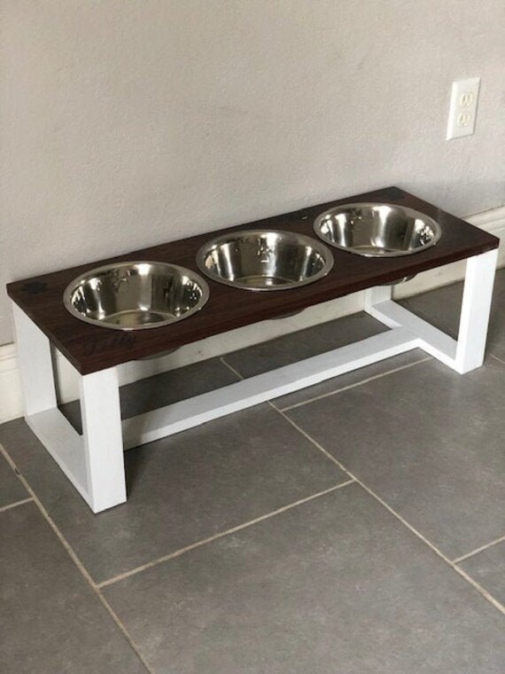 greyhound elevated feeder