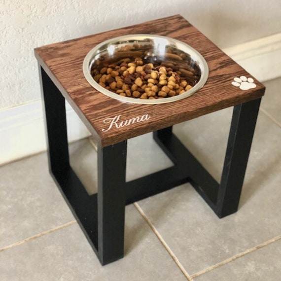 raised single dog feeder
