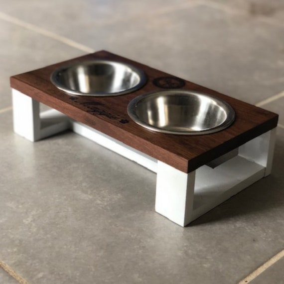 small spaniel bowl