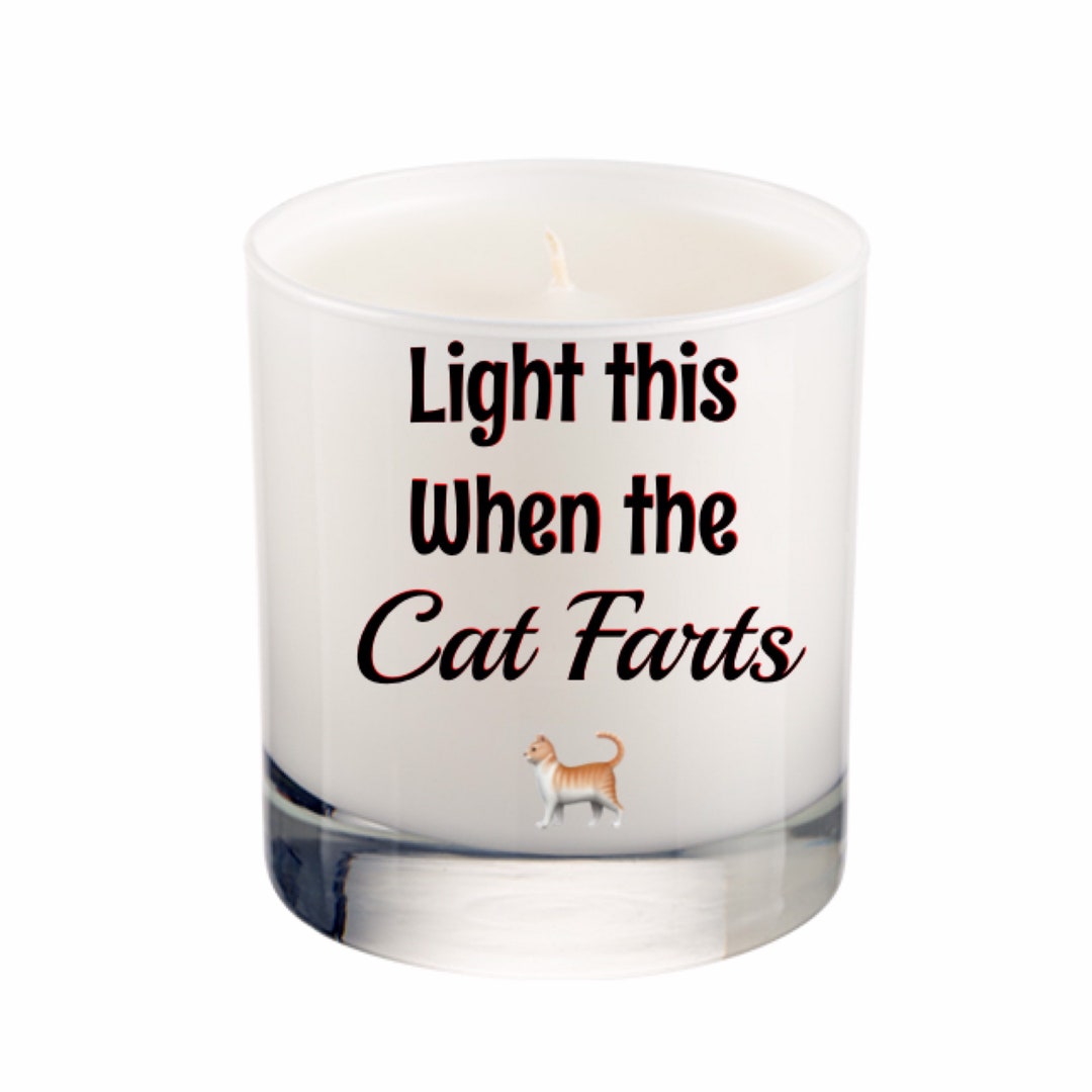 Cat Lover Candles Cat Lover Gift Light When Cat Farts Funny Etsy