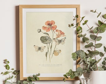 VINTAGE Botanical Art Print / Antique Farmhouse Art Prints / Cottage Floral Print / Butterfly Print / Digital Download / Celestes.Studio©