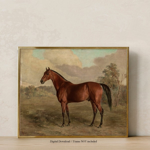 Horse Art Etsy