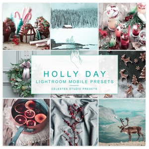 HOLLY Lightroom Mobile Presets, Winter Instagram Presets, Best Presets Christmas Lightroom Presets. Celestes.Studio© image 3