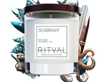 Seabright Candle: Salty Sea, Orchid, Driftwood - Soy & Coconut - 9oz candle