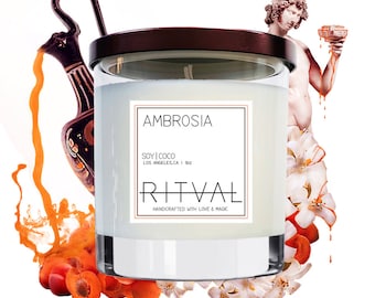 Ambrosia Candle: Jasmine, Apricot, Honey - 9oz Soy Coconut Candle