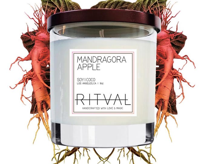 Featured listing image: Mandragora Apple Candle