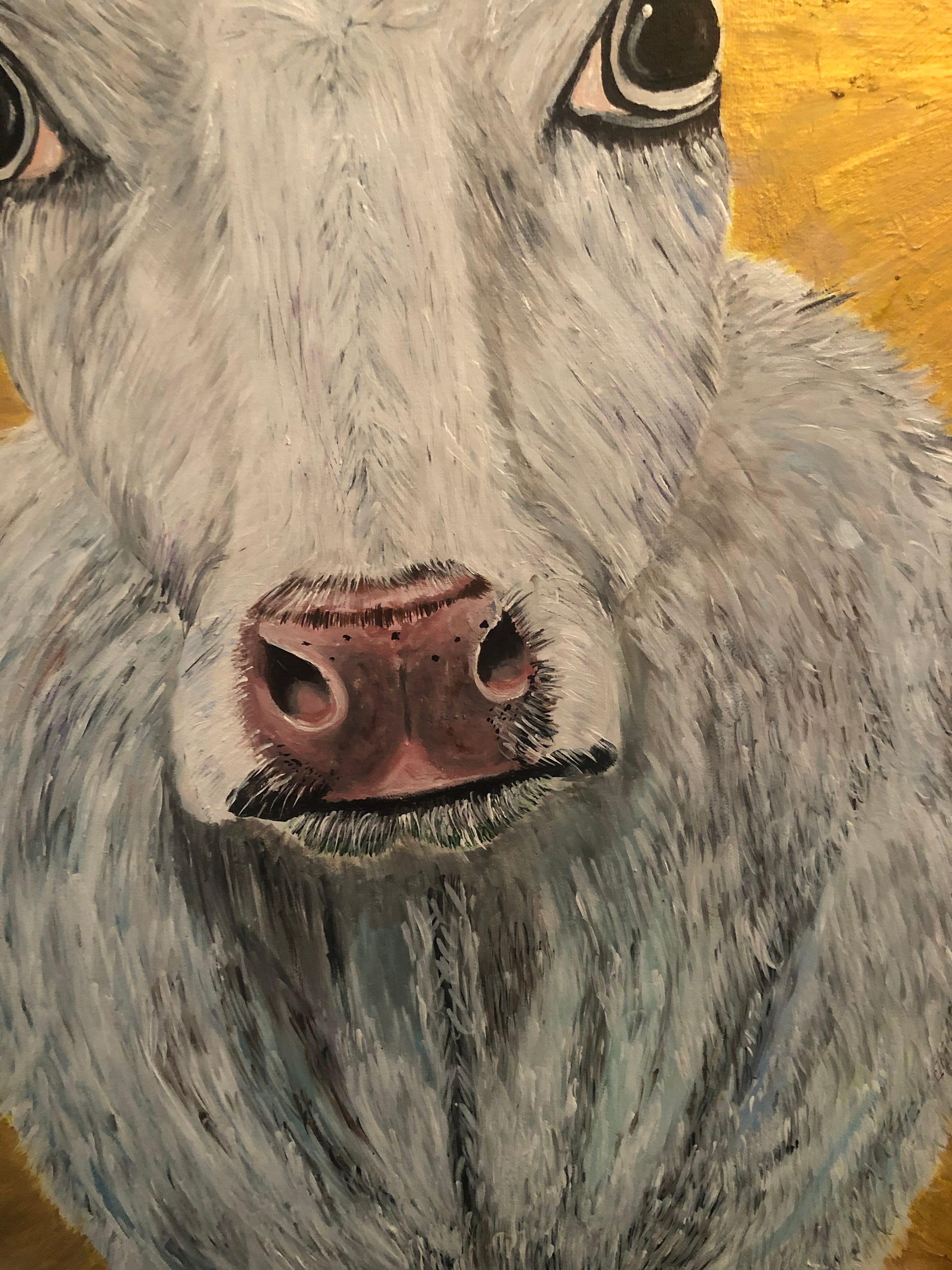 Holy Cow Canvas Prints on Actual Canvas Excellent Quality Etsy UK