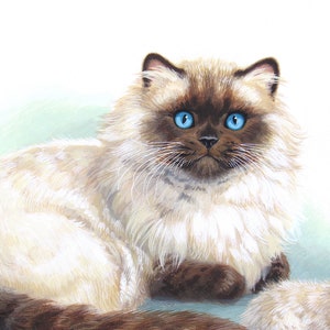 Belle illustration originale à la gouache de Jan Pfloog, chat siamois de l'Himalaya, du livre Rabbits Animal Friends