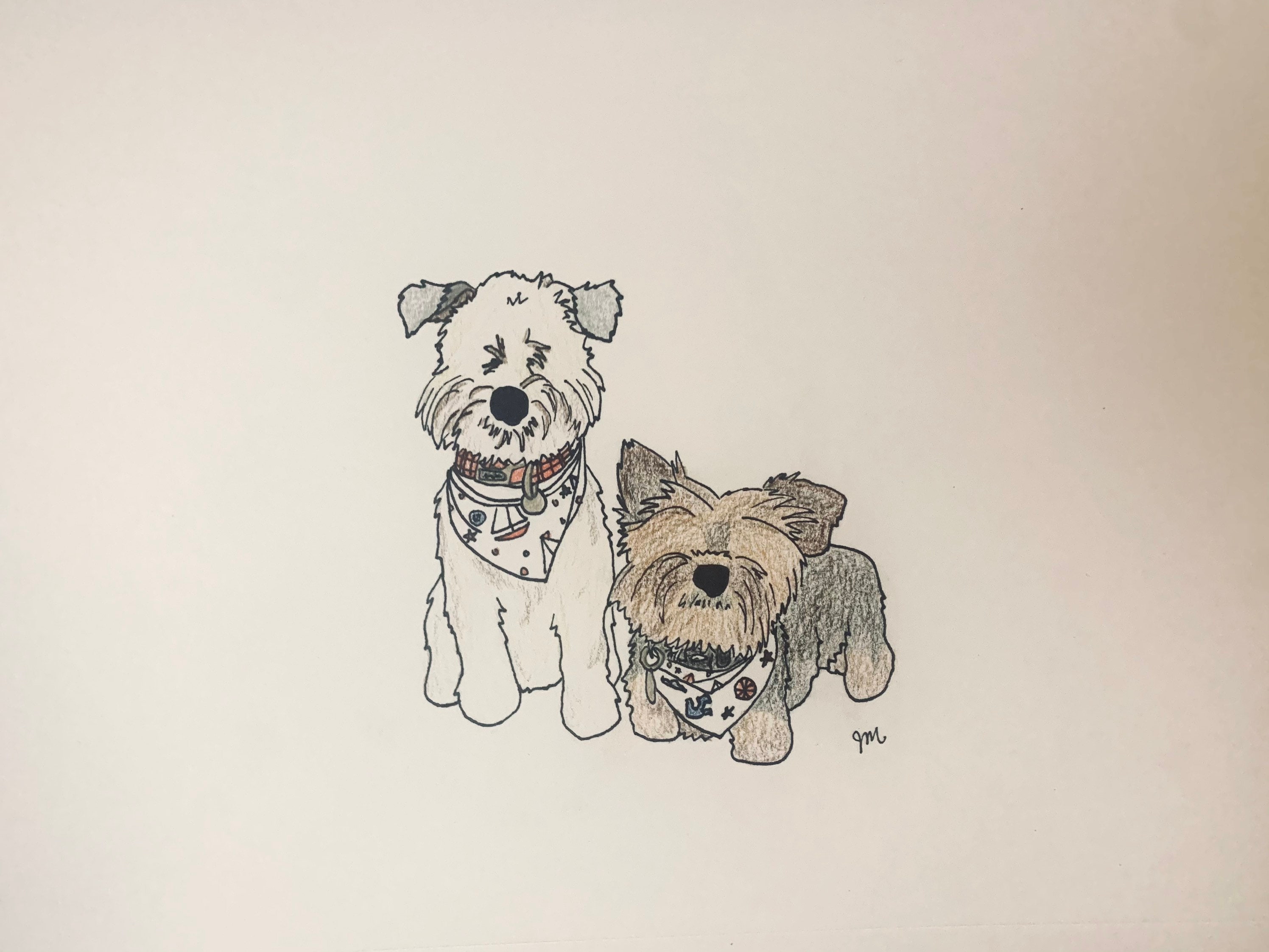 Custom Hand Drawn Pet Portraits Etsy Denmark