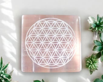 Peut inclure: Une plaque de recharge en sélénite blanche avec un motif de fleur de vie gravé. La plaque est sur une surface blanche avec des succulentes vertes autour.